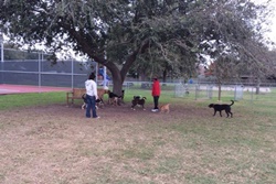 Lindale Dog Park, dog parks in Galveston, Galvest dog parks Texas