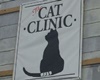 The Animal Clinic, vet in Galveston TX, veterinarians animal hospital in Galveston, Texas
