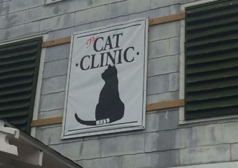 The Animal Clinic, vet in Galveston TX, veterinarians animal hospital in Galveston, Texas